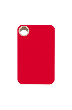 Red Rectangle Plastic Pet Tag