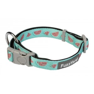 FuzzYard Summer Punch Dog Collar